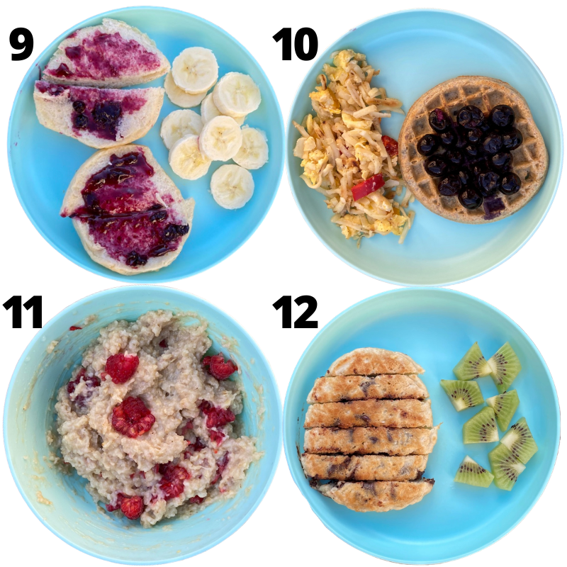 Toddler breakfast ideas - biscuits with jelly, waffle with blueberries, raspberry oatmeal, chocolate chip pancake