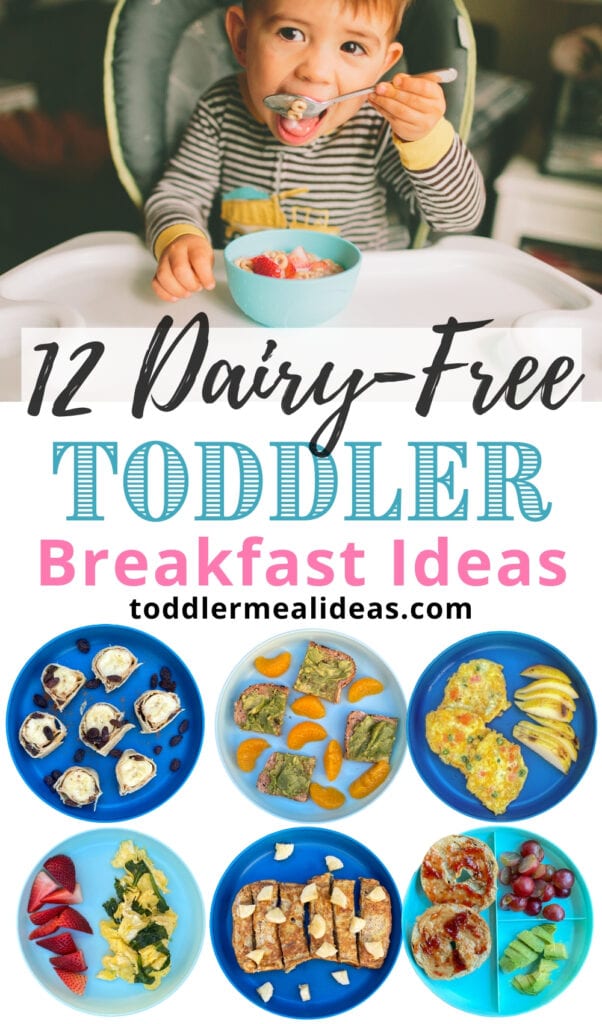 12 Dairy-Free Toddler Breakfast Ideas Pin