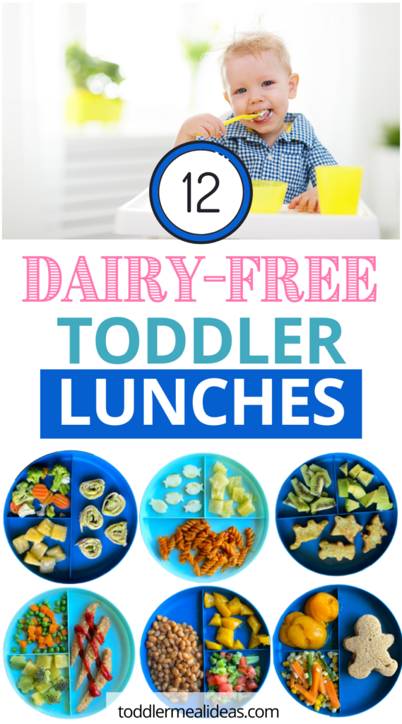 12 Dairy-Free Toddler Lunches Graphic