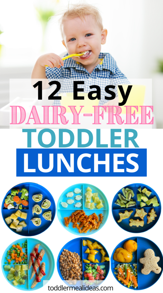 12 Dairy-Free Toddler Lunch Ideas - Toddler Meal Ideas