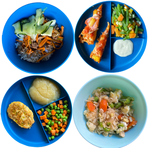 Toddler Dinner Ideas: Beef Bulgogi bowl, pizza, salmon cake, chicken stir fry