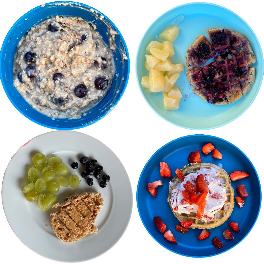 Toddler Breakfast: blueberry oatmeal, waffle with jelly, english muffin, waffle with coconut cream