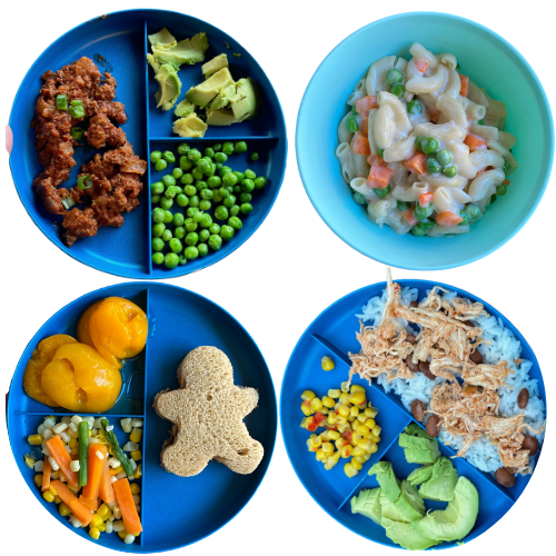 Toddler dinner ideas: chili, mac n cheese, pb&j, Salsa chicken plate