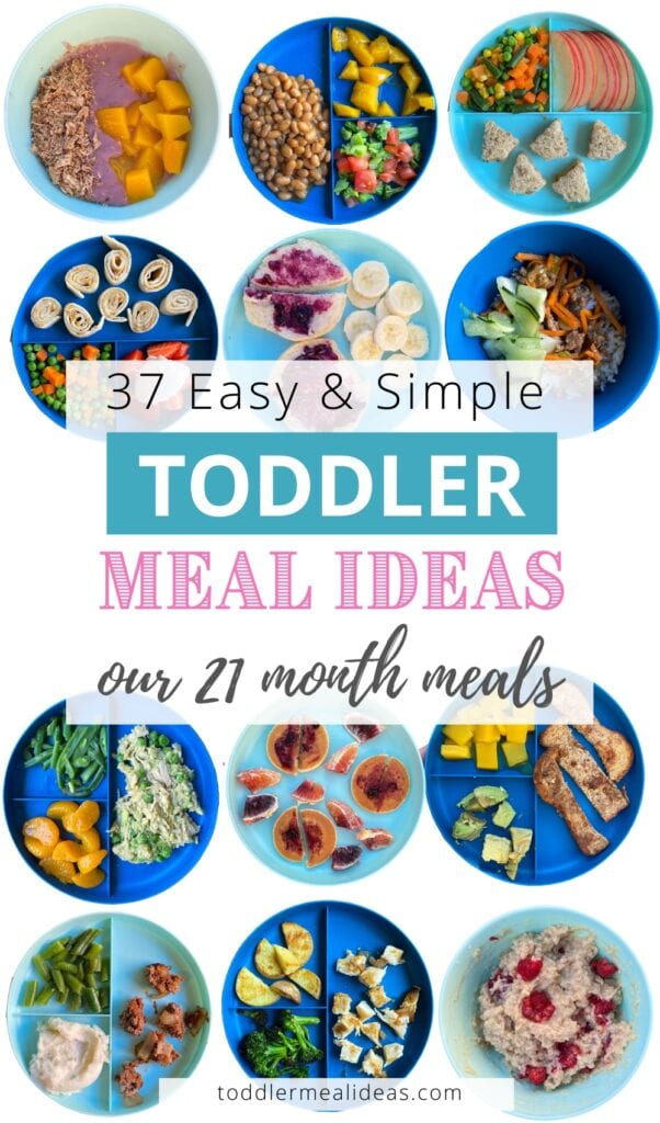 37 Easy & Simple Toddler Meal Ideas