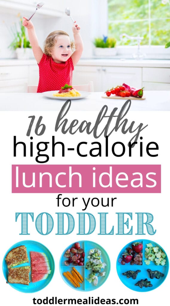 16 Healthy High-Calorie Lunches for your Toddler
