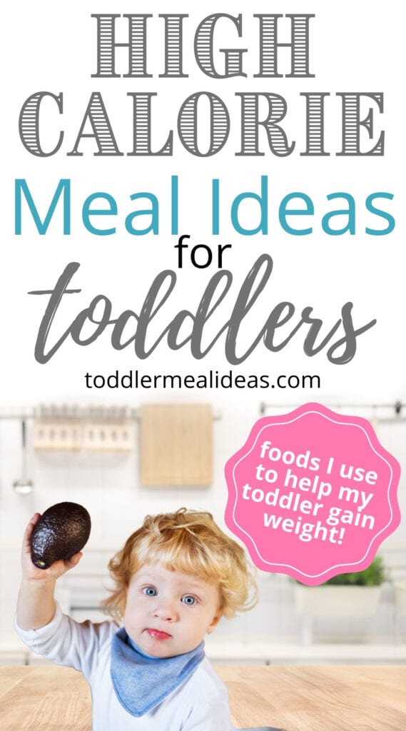 High Calorie Meal Ideas for Toddlers
