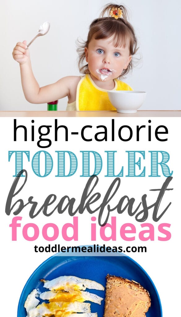 High-Calorie Toddler Breakfast Food Ideas