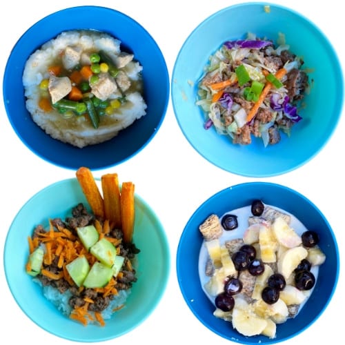 Toddler Bowl Meal Ideas: mash potato bowl, Egg roll in a bowl, Korean beef bowl, cereal with milk and fruit.