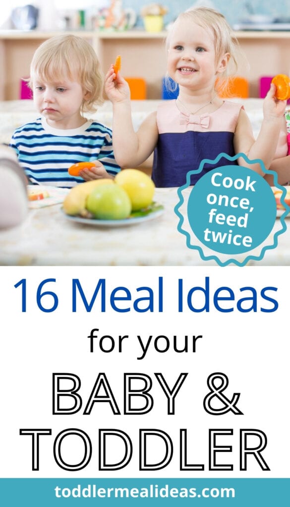 16 Meal Ideas for your Baby & Toddler