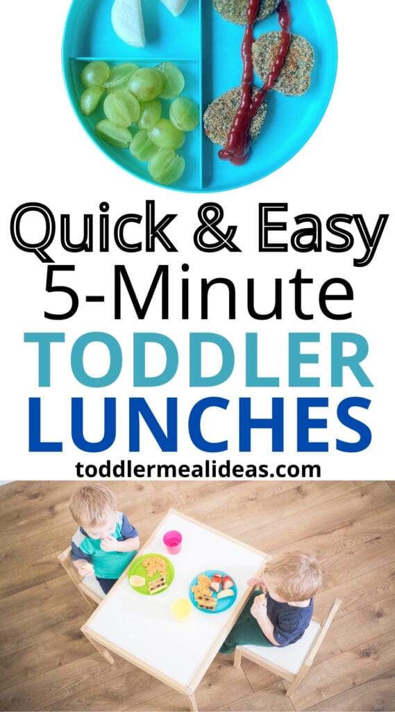 Quick & Easy 5-Minute Toddler Lunches