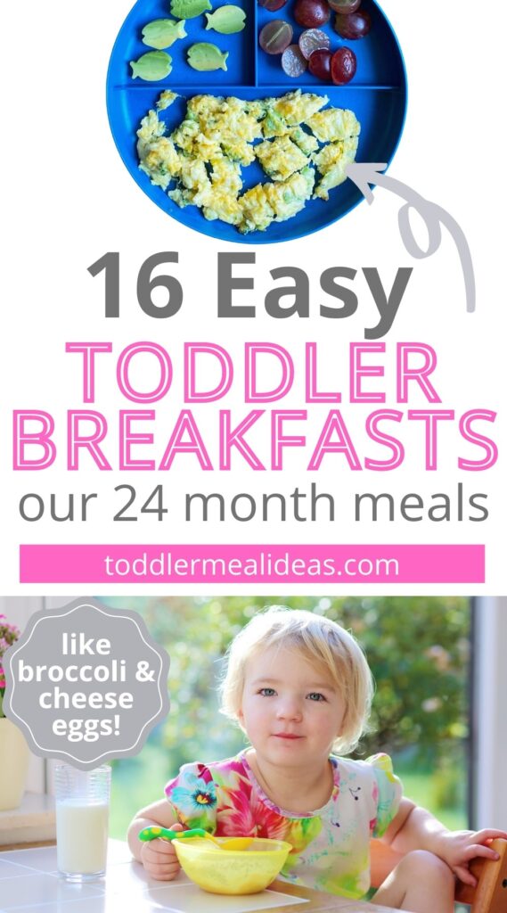 Easy Toddler Breakfast Ideas for 24 Months