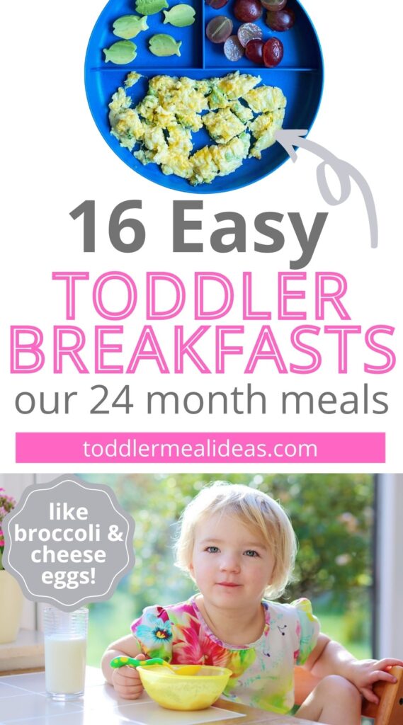 Easy Toddler Breakfast Ideas for 24 Months - Toddler Meal Ideas