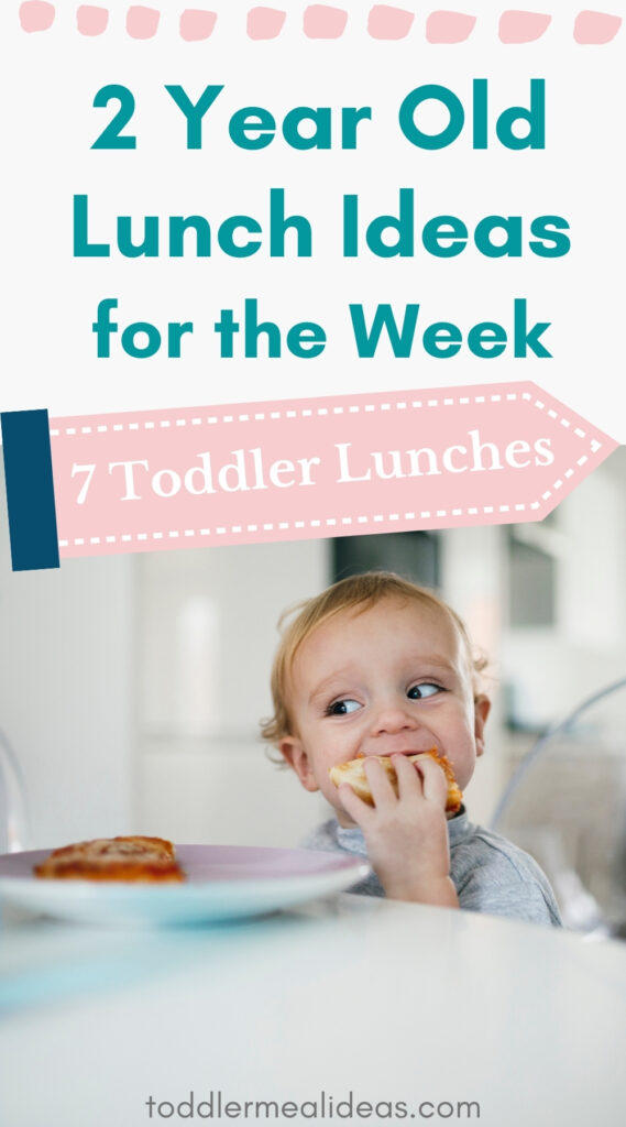 2 Year Old Lunch Ideas for the Week