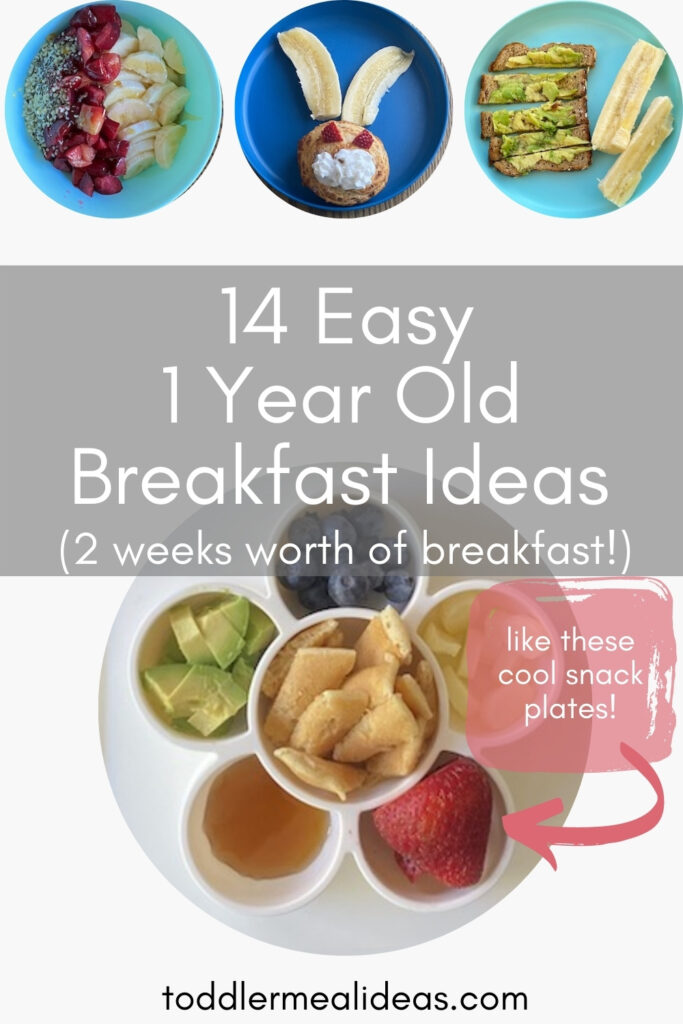 Easy 1 Year Old Breakfast Ideas - Toddler Meal Ideas