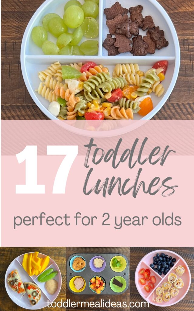 17 Toddler Lunches perfect for 2 year olds