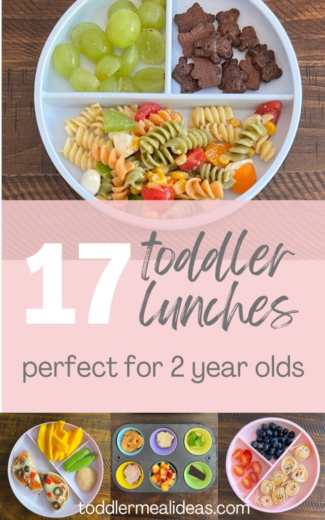 17 Toddler Lunches for 2 Year Olds - Toddler Meal Ideas