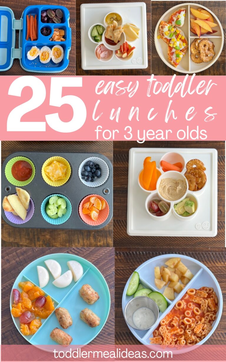 25 Easy Lunch Ideas for 3 Year Olds - Toddler Meal Ideas