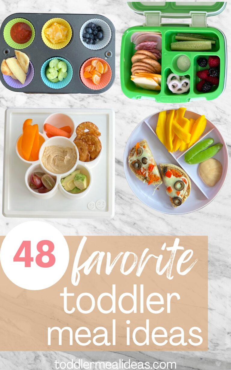 48 Favorite Toddler Meal Ideas - Toddler Meal Ideas