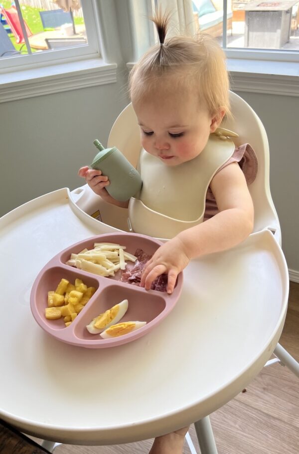 12 Month Old Meal Ideas - Toddler Meal Ideas
